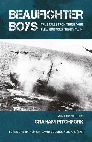 bokomslag Beaufighter Boys