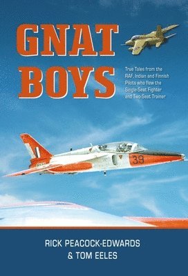 bokomslag Gnat Boys