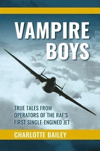 bokomslag Vampire Boys