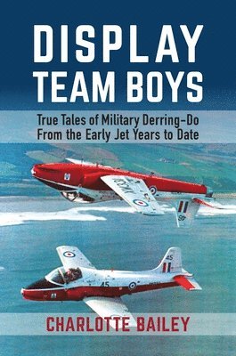 bokomslag Display Team Boys: True Tales of Military Derring-Do from the Early Jet Years to Date