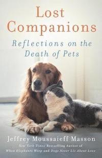 bokomslag Lost Companions