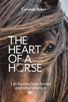 bokomslag Heart of a Horse