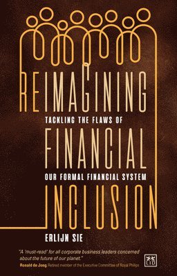 bokomslag Reimagining Financial Inclusion