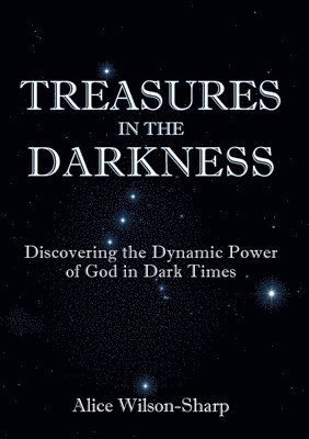 bokomslag Treasures in the Darkness