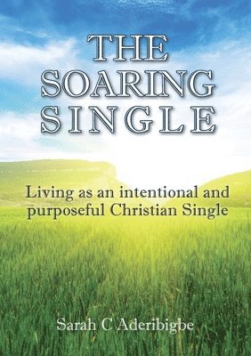 bokomslag Soaring Single