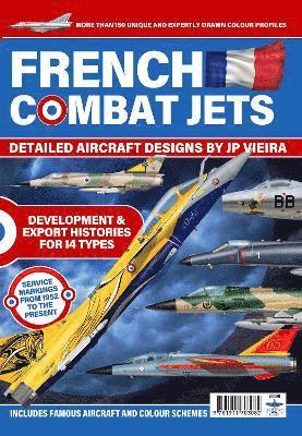 French Combat Jets in Profile 1