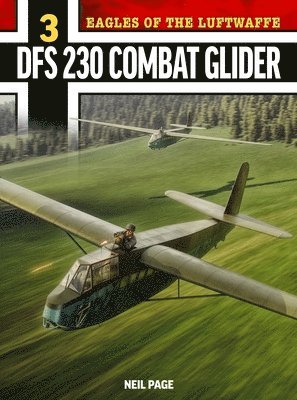 bokomslag Eagles of the Luftwaffe: DFS 230