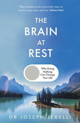 bokomslag The Brain at Rest