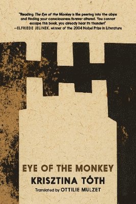 bokomslag Eye of the Monkey