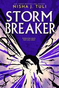 bokomslag Storm Breaker