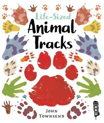 Life-Sized Animal Tracks 1