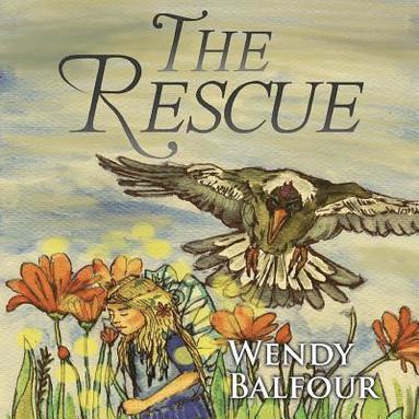 bokomslag The Rescue