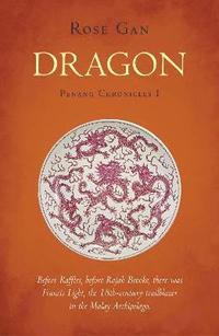 bokomslag Dragon