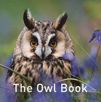 bokomslag Nature Book Series: The Owl Book