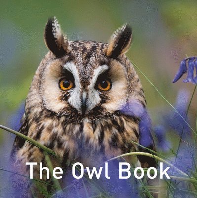 Nature Book Series: The Owl Book