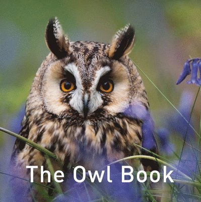 Nature Book Series, The: The Owl Book 1