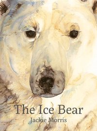 bokomslag Ice Bear, The