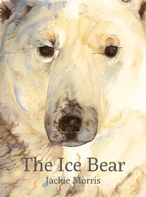 Ice Bear, The 1