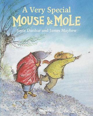 Joyce Dunbar - Mouse and Mole: A Very Special Mouse and Mole, Inbunden