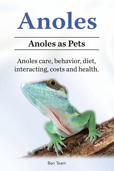 bokomslag Anoles. Anoles as Pets. Anoles care, behavior, diet, interacting, costs and health.