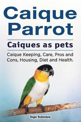 Caique parrot. Caiques as pets. Caique Keeping, Care, Pros and Cons, Housing, Diet and Health. 1
