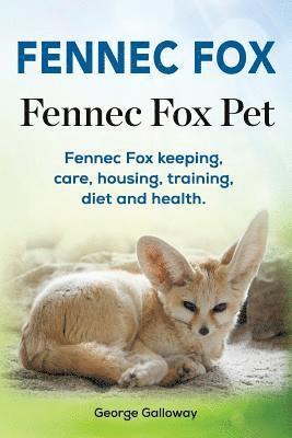 Fennec Fox. Fennec Fox Pet. Fennec Fox keeping, care, housing, training, diet and health. 1