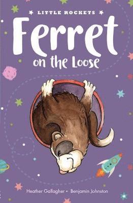 Heather Gallagher - Ferret on the Loose, Häftad