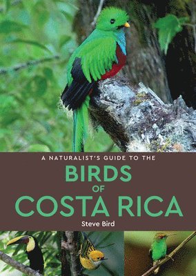 Steve Bird - Naturalist’s Guide to the Birds of Costa Rica (2nd edition), Häftad