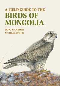 bokomslag A Field Guide to the Birds of Mongolia