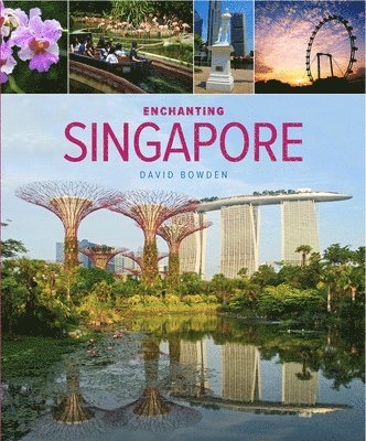 bokomslag Enchanting Singapore (3rd edition)