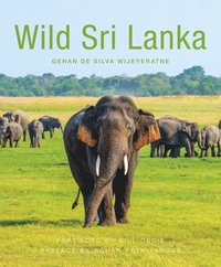 bokomslag Wild Sri Lanka (2nd edition)