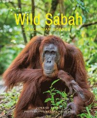 bokomslag Wild Sabah (2nd edition)