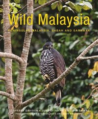 bokomslag Wild Malaysia (2nd edition)