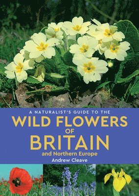 Andrew Cleave - Naturalist's Guide to the Wild Flowers of Britain and Northern Europe (2nd edition), Häftad