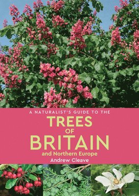 A Naturalists Guide to the Trees of Britain and Northern Europe (2nd edition) 1