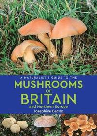 bokomslag A Naturalists Guide to the Mushrooms of Britain and Northern Europe (2nd edition)