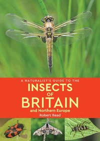 bokomslag Naturalist's Guide to the Insects of Britain and Northern Europe (2nd edition)