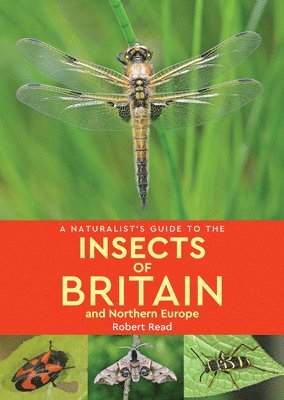 bokomslag Naturalist's Guide to the Insects of Britain and Northern Europe (2nd edition)