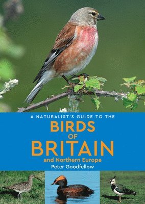 Peter Goodfellow - Naturalist's Guide to the Birds of Britain and Northern Europe (2nd edition), Häftad
