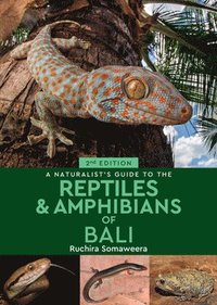 bokomslag A Naturalist's Guide to the Reptiles & Amphibians of Bali (2nd edition)