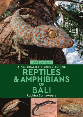 Dr Ruchira Somaweera - Naturalist's Guide to the Reptiles & Amphibians of Bali (2nd edition), Häftad