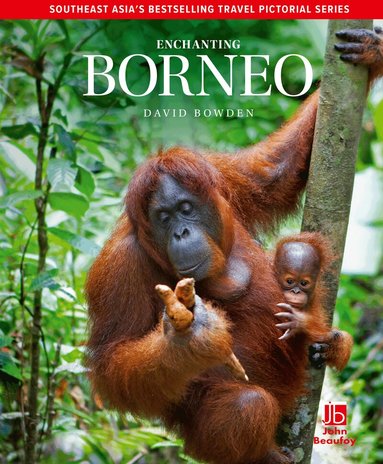 David Bowden - Enchanting Borneo, Inbunden