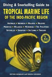 bokomslag Diving & Snorkelling Guide to Tropical Marine Life in the Indo-Pacific Region (3rd edition)