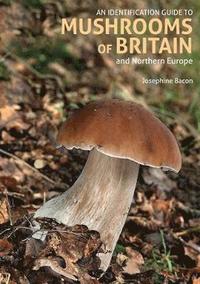 bokomslag An Identification Guide to Mushrooms of Britain and Northern Europe (2nd edition)