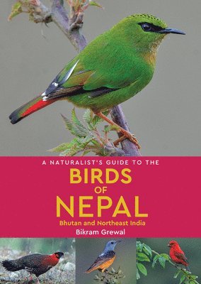 Bikram Grewal - Naturalist's Guide to the Birds of Nepal, Häftad