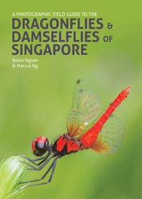 bokomslag Photographic Field Guide to the Dragonflies & Damselflies of Singapore
