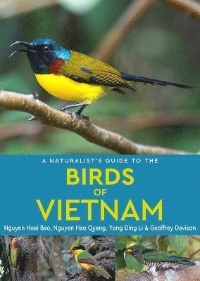 bokomslag A Naturalist's Guide to the Birds of Vietnam