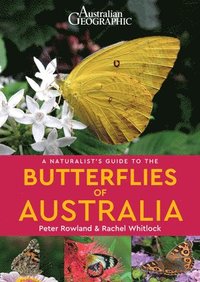 bokomslag A Naturalist's Guide to the Butterflies of Australia