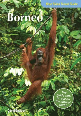 bokomslag Blue Skies Travel Guide: Borneo