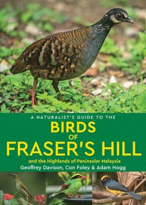 bokomslag Naturalist's Guide to the Birds of Fraser's Hill & the Highlands of Peninsular Malaysia